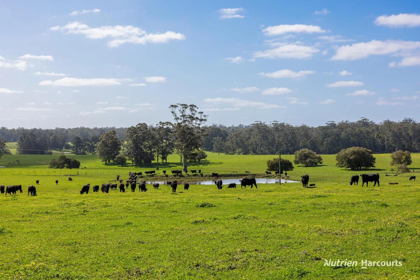 Additional image 21 of 1545 Muirillup Road, Boorara Brook WA 6262