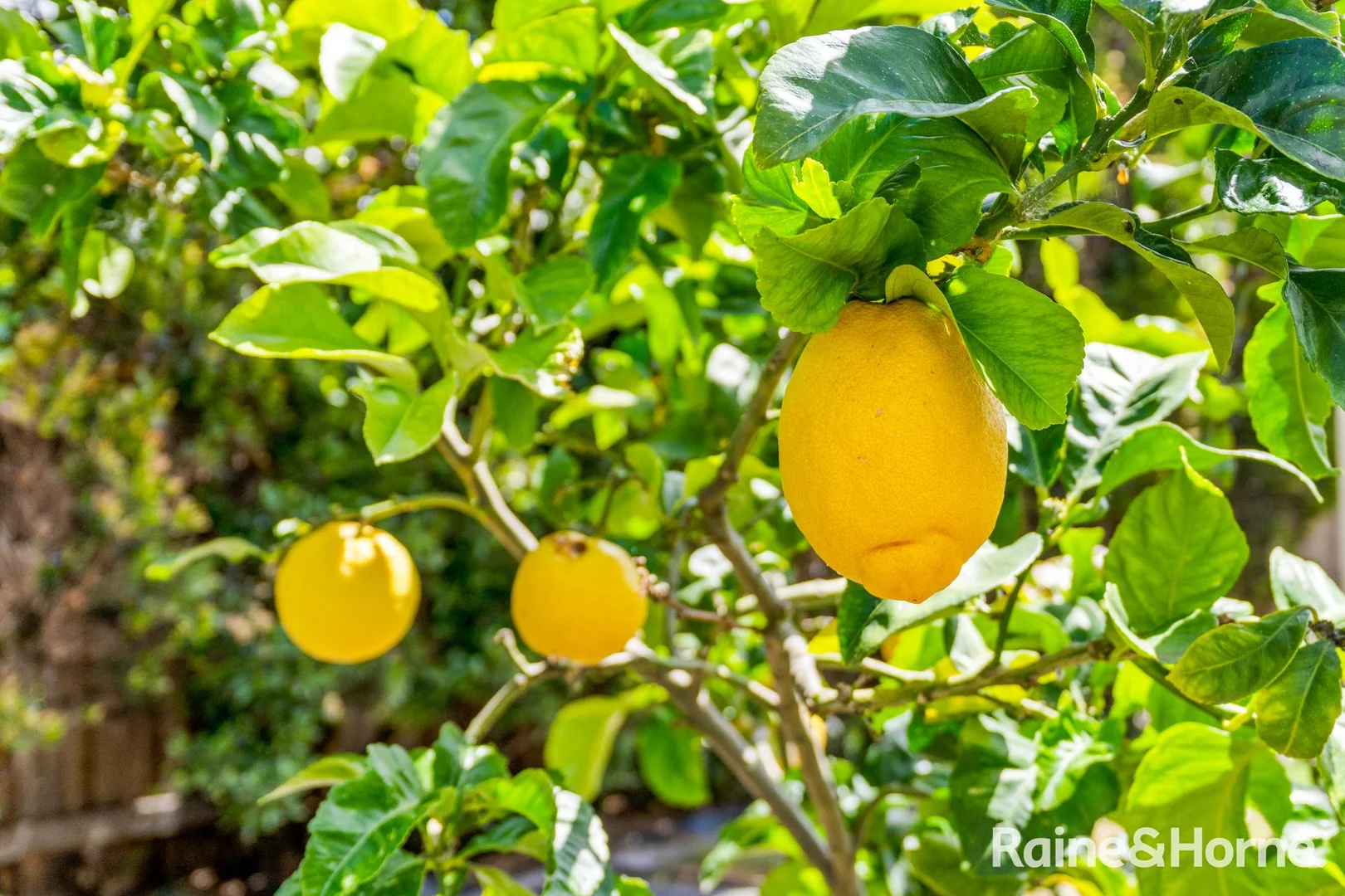 Additional image 35 of 6 Sunny Avenue, Blackmans Bay TAS 7052