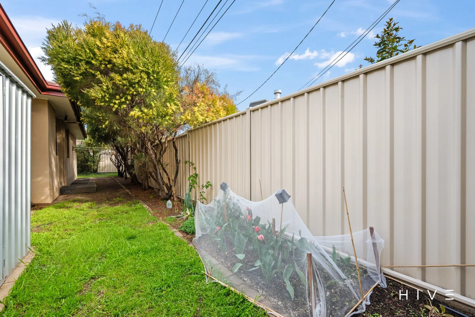 Additional image 17 of 91B Officer Crescent, Ainslie ACT 2602