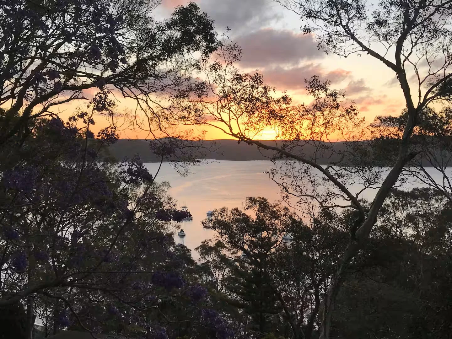 Additional image 5 of 66 Trappers Way, Avalon Beach NSW 2107