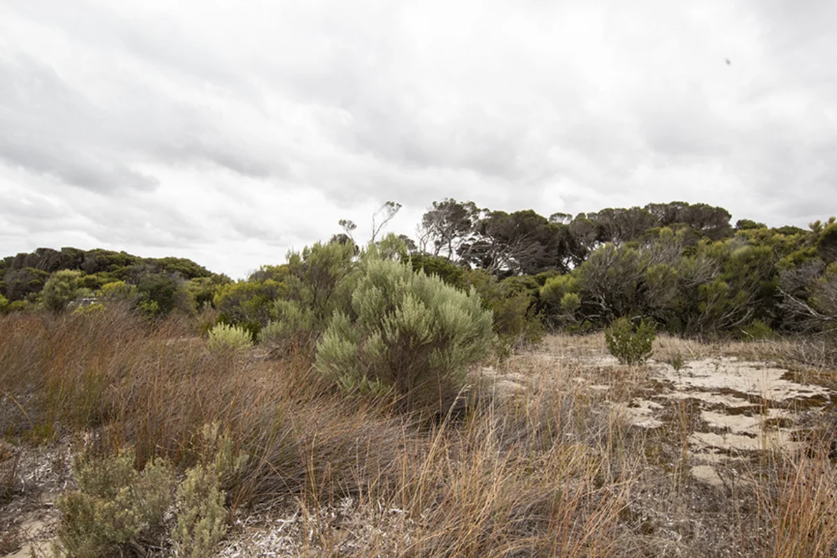 Additional image 15 of Section lot 38 Nugent Road, Foul Bay SA 5577