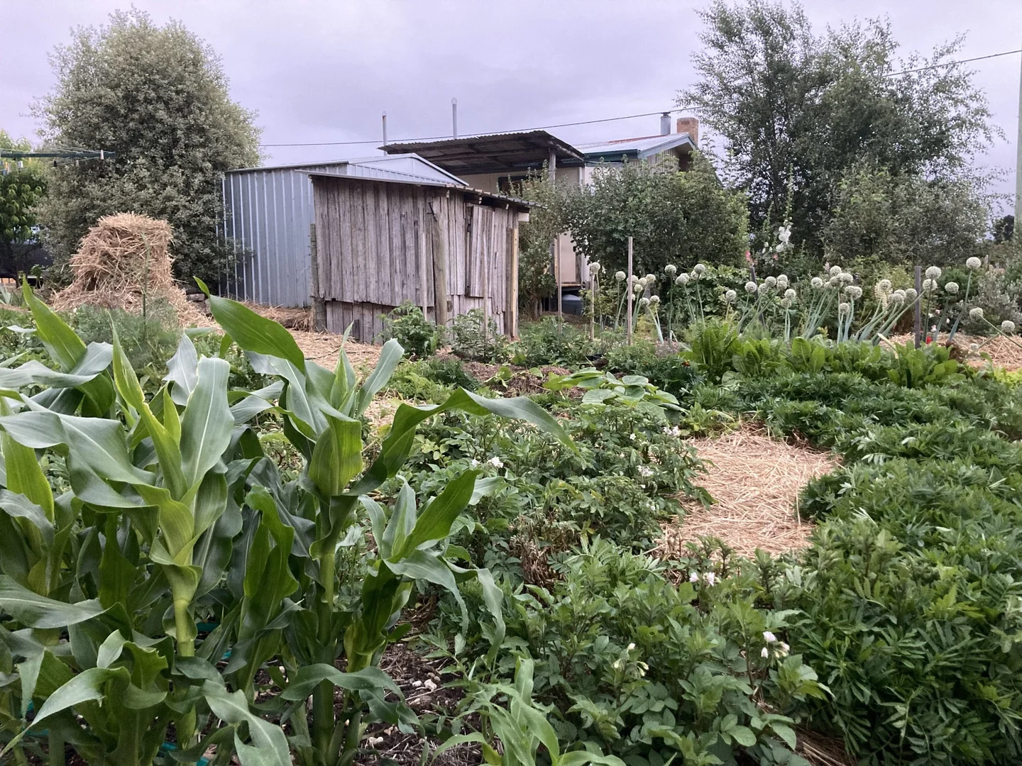 Additional image 25 of 7 Fleming Street, Fingal TAS 7214