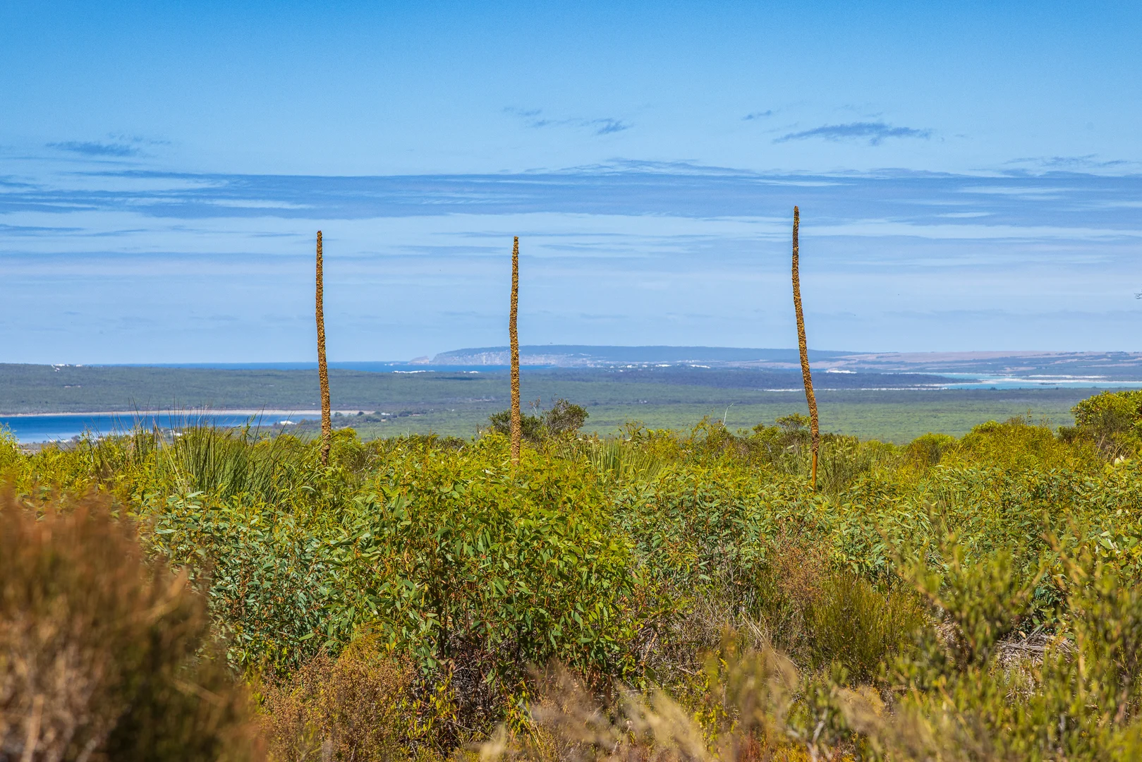 Additional image 12 of 2 Proper Bay Road, Duck Ponds SA 5607