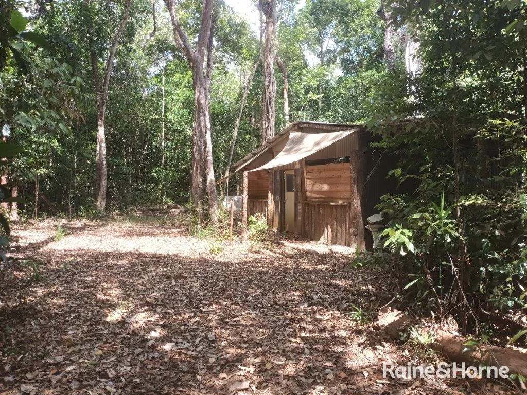 Additional image 19 of Lot 249 White Beech Road, Cow Bay, Daintree QLD 4873