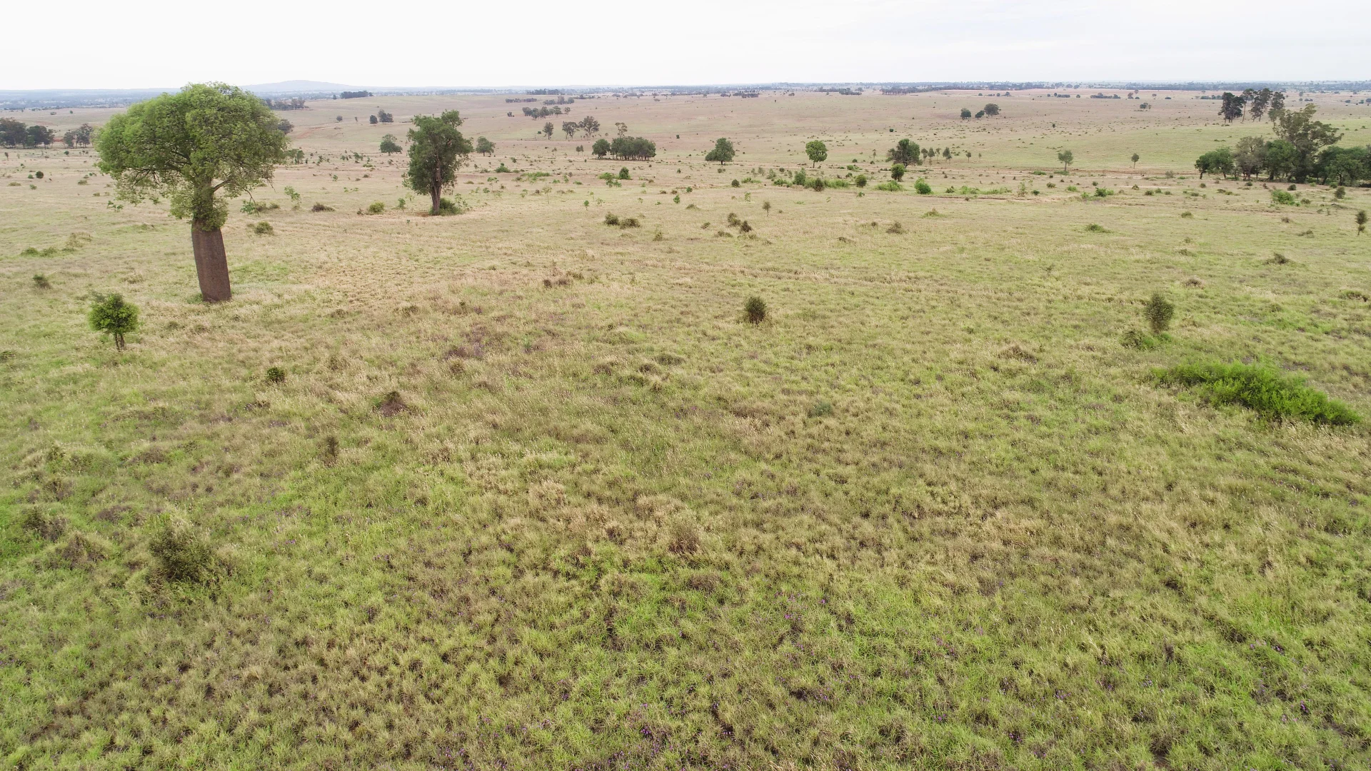 Additional image 6 of 'Bracco' Orallo Road, Roma QLD 4455