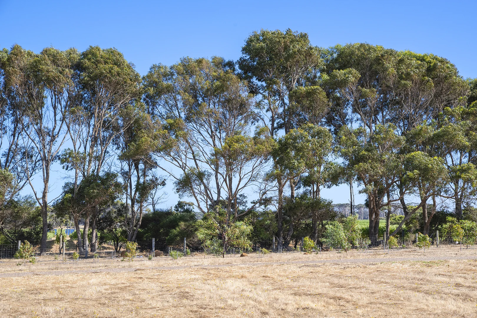 Additional image 4 of 38 Moondyne Ridge, Kudardup WA 6290