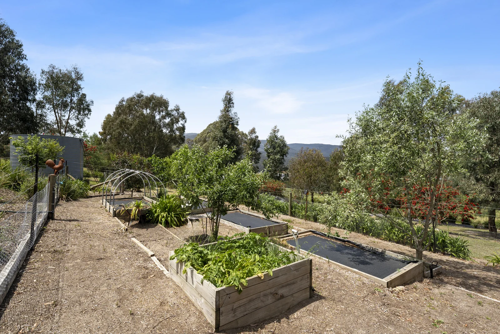 Additional image 10 of 60 Nillahcootie Track, Barjarg VIC 3723