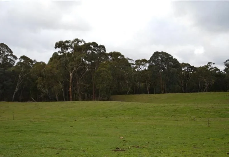 Additional image 5 of 95 Bago Forest Road, Tumbarumba NSW 2653