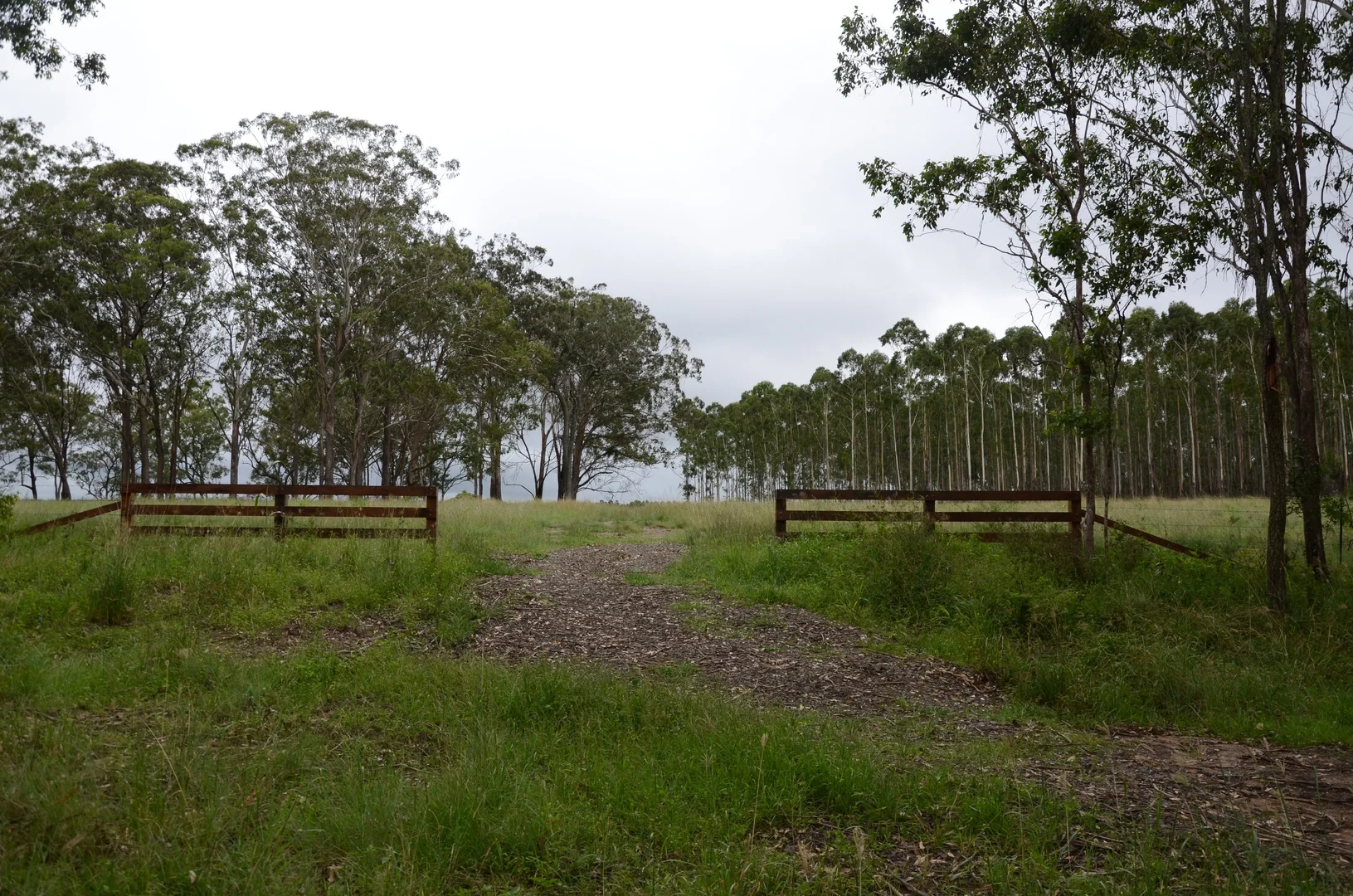 Additional image 2 of 7877AB Mount Lindesay Road, Legume NSW 2476