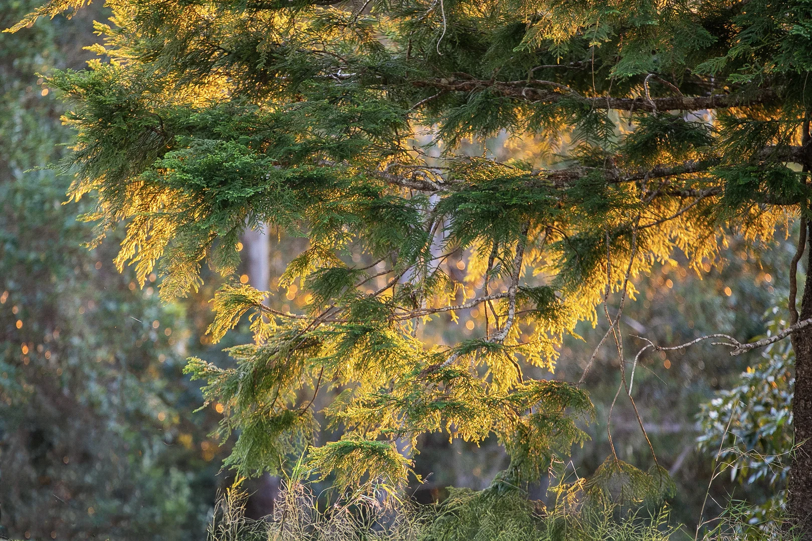 Additional image 8 of Lake Macdonald QLD 4563