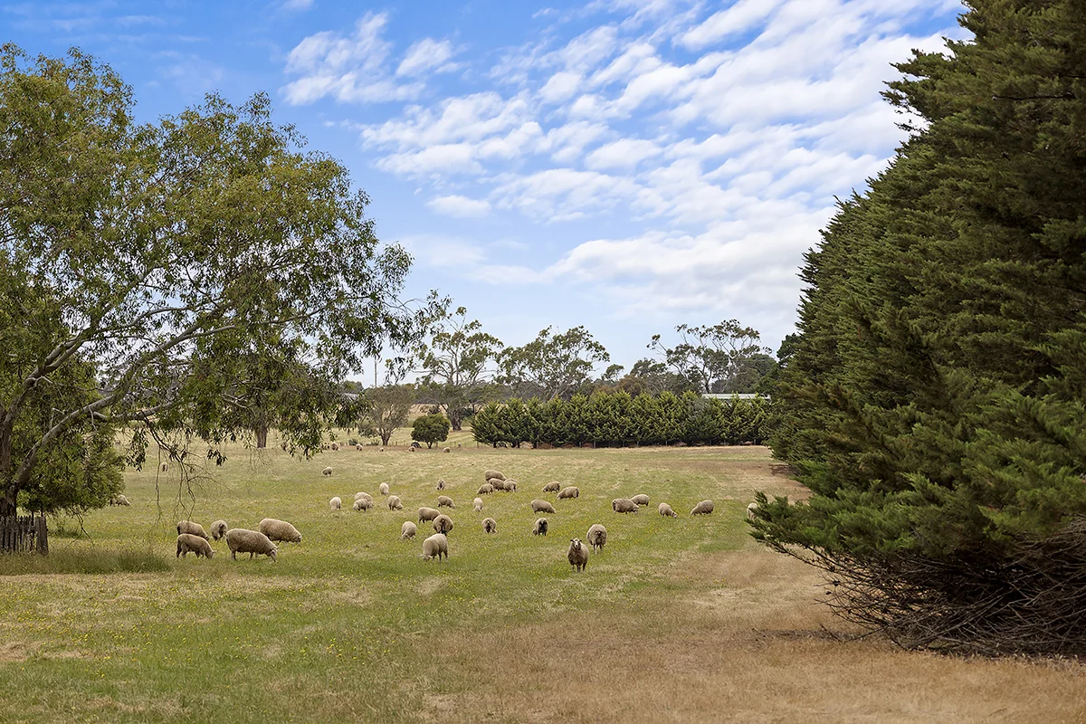 Additional image 5 of 440 Hamilton-Chatsworth Road, Tarrington VIC 3301