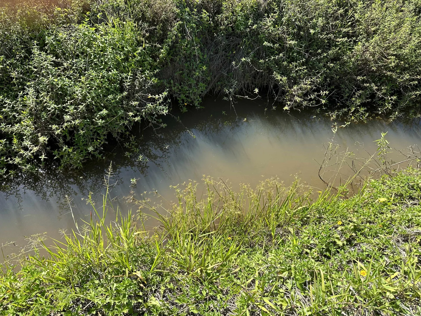 Additional image 17 of East Feluga QLD 4854