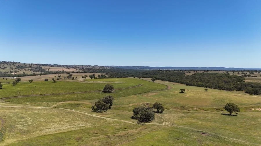 Additional image 13 of 190 BROWN SPRINGS ROAD, Coolah NSW 2843