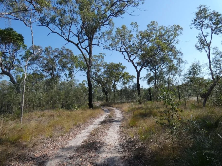 Additional image 31 of 641 Capricornia Drive, Deepwater QLD 4674