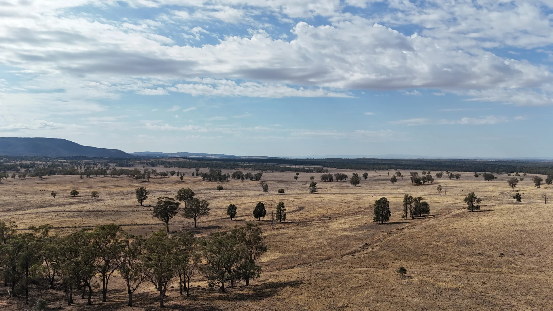 Additional image 11 of 117 Hillside Lane, Parkes NSW 2870