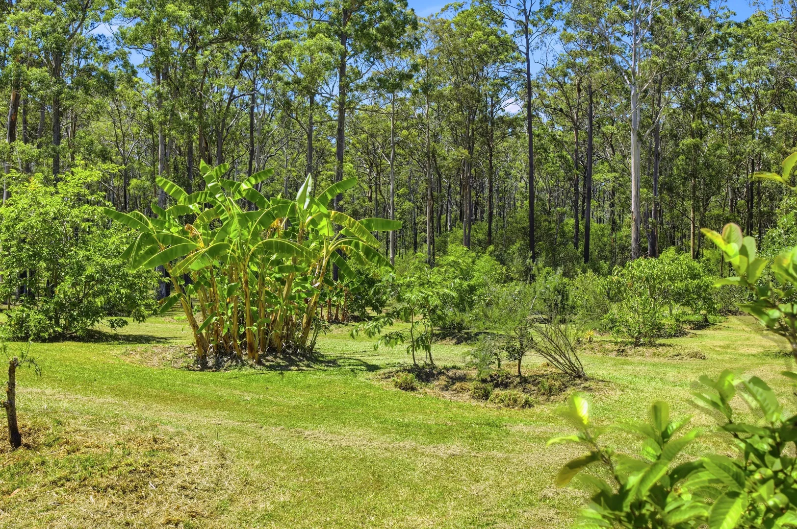 Additional image 17 of 18 Holden Road, Rainbow Flat NSW 2430