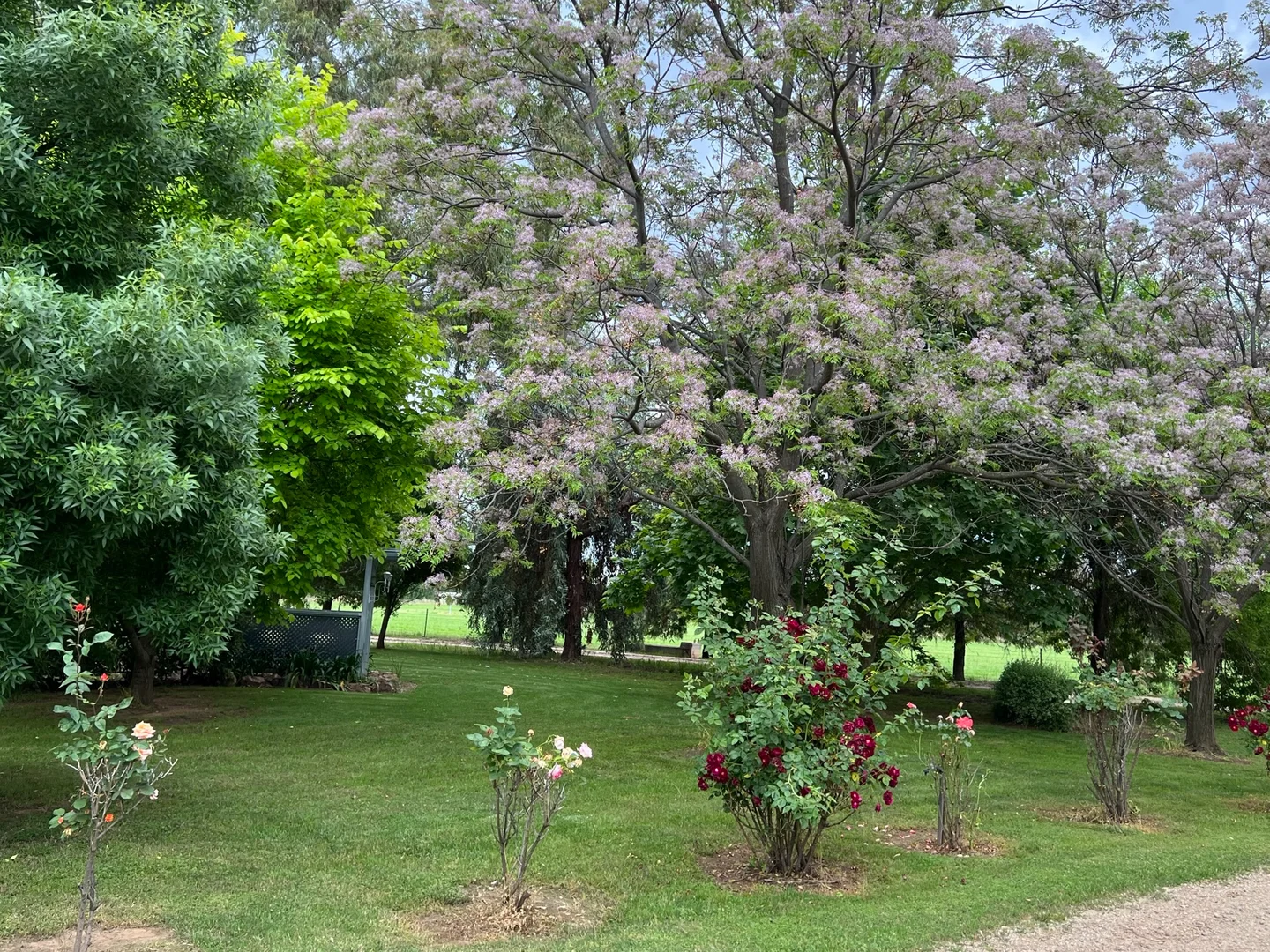 Additional image 5 of Gooloogong NSW 2805