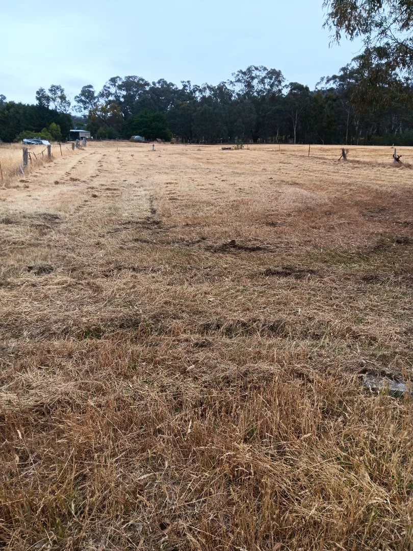 Additional image 5 of 29 Ryan Street, Redbank VIC 3477