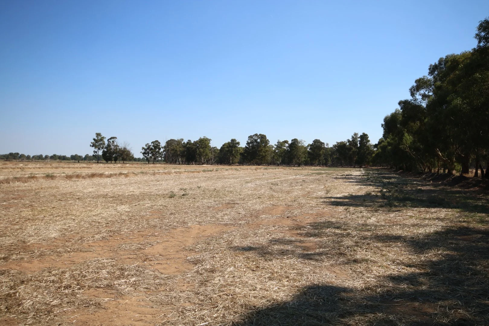 Additional image 30 of Lot 43 O'Donnell Rd, Rochester VIC 3561