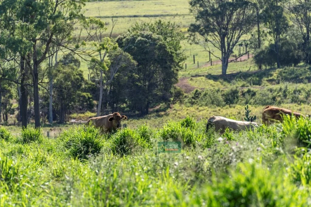 Additional image 18 of 121 Elbow Road, Murgon QLD 4605