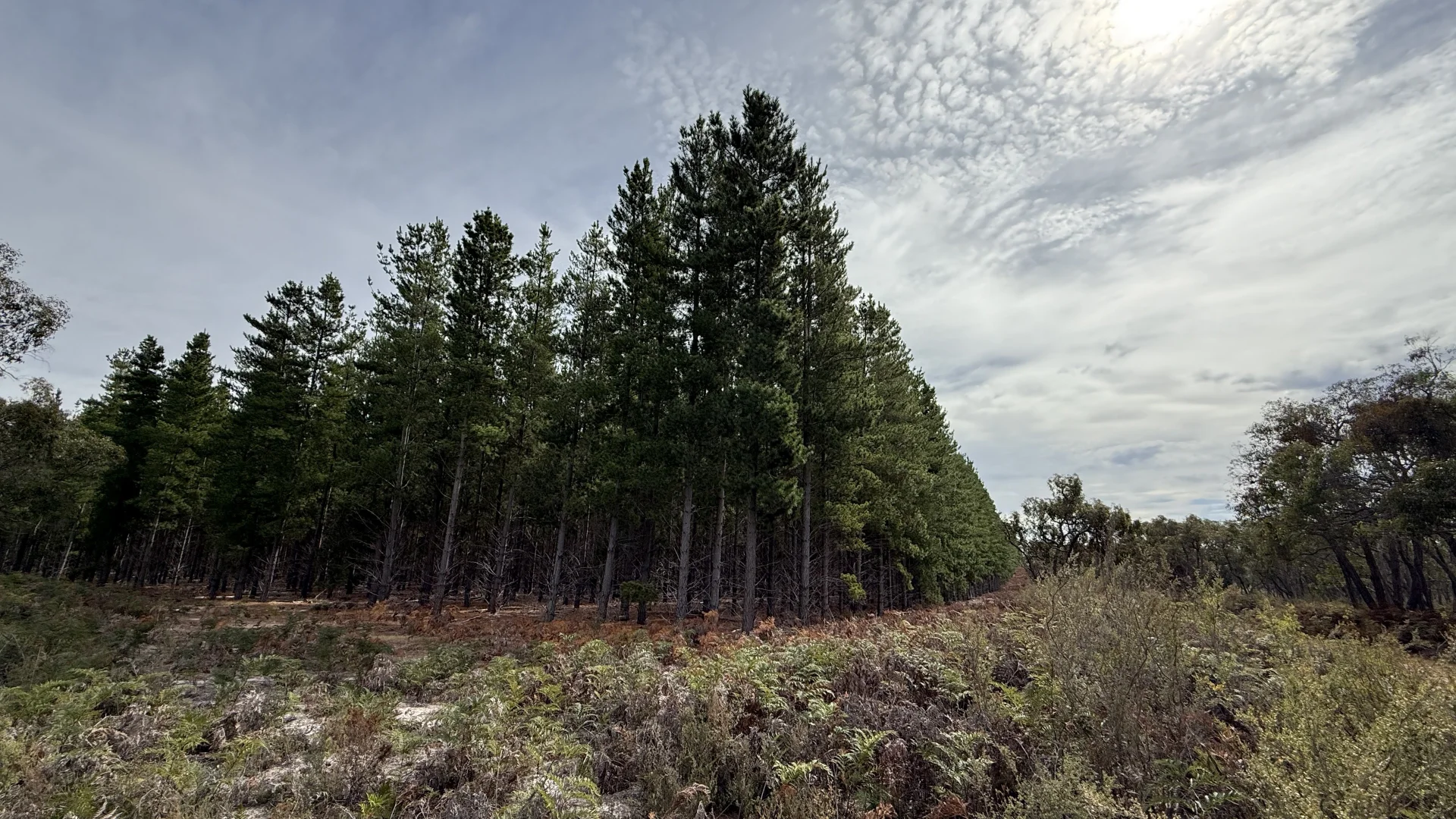 Additional image 9 of Lot 1 Jim Ryans Road, Edenhope VIC 3318