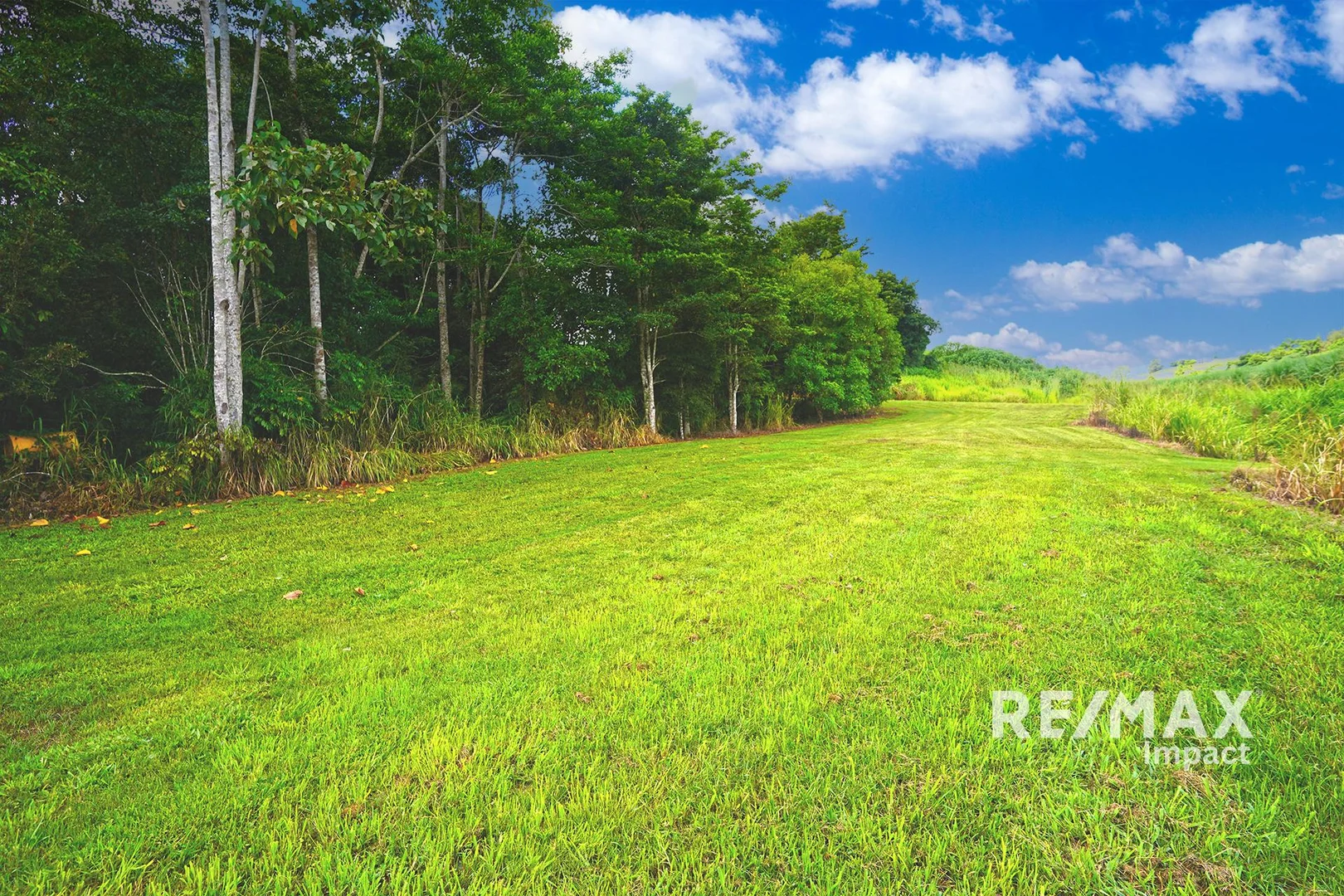 Additional image 9 of 4749 Gillies Range Road, East Barron QLD 4883