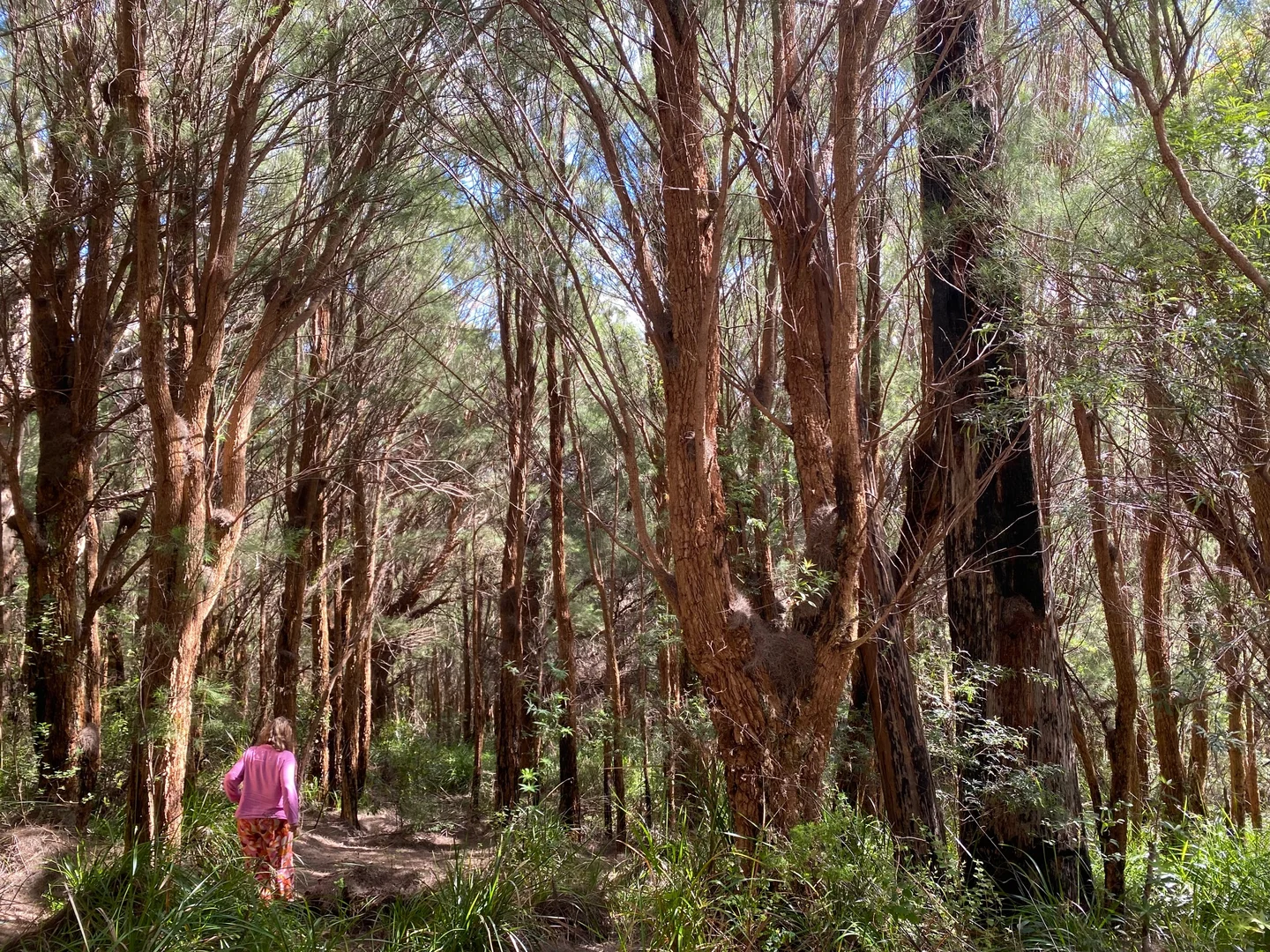 Additional image 2 of 87 Middleton Close, Shadforth WA 6333