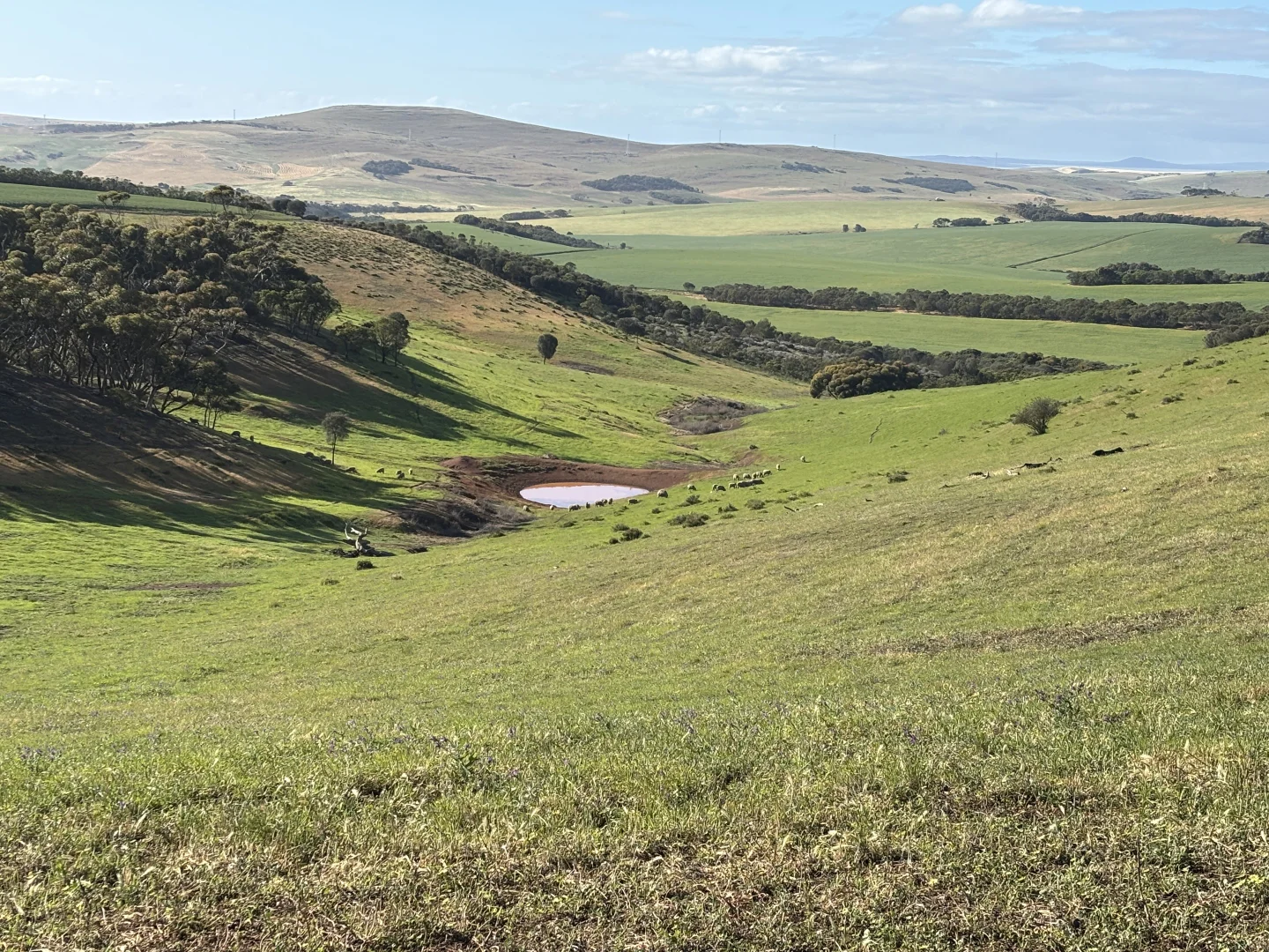 Additional image 25 of 251 Reservoir Drive, Whites Flat SA 5607