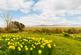 Additional image 4 of Laigh House, Church Lane, Wigtown, Newton Stewart, DG8