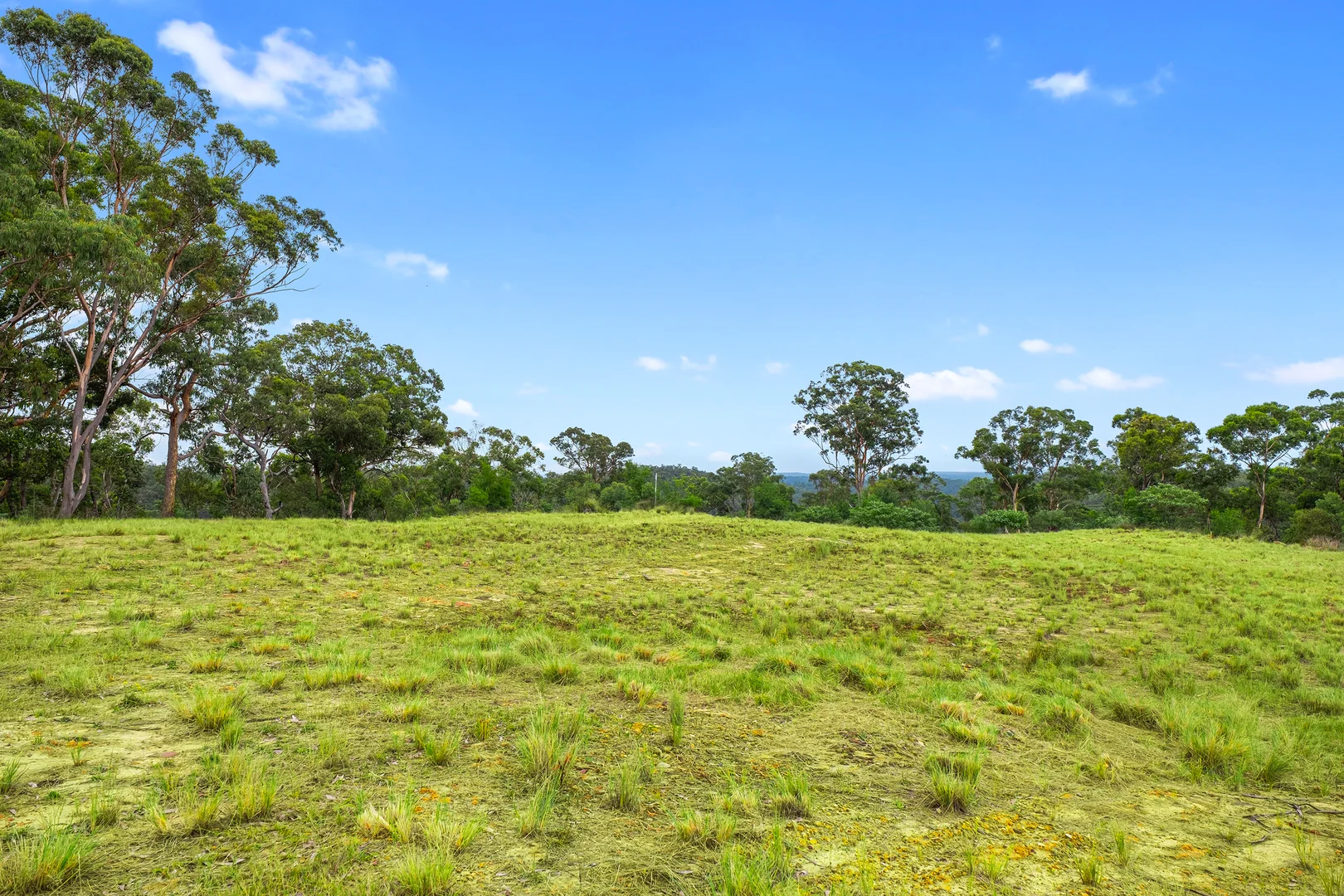 Additional image 3 of 173 Gallaghers Road, South Maroota NSW 2756