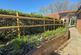Additional image 15 of Sandleheath