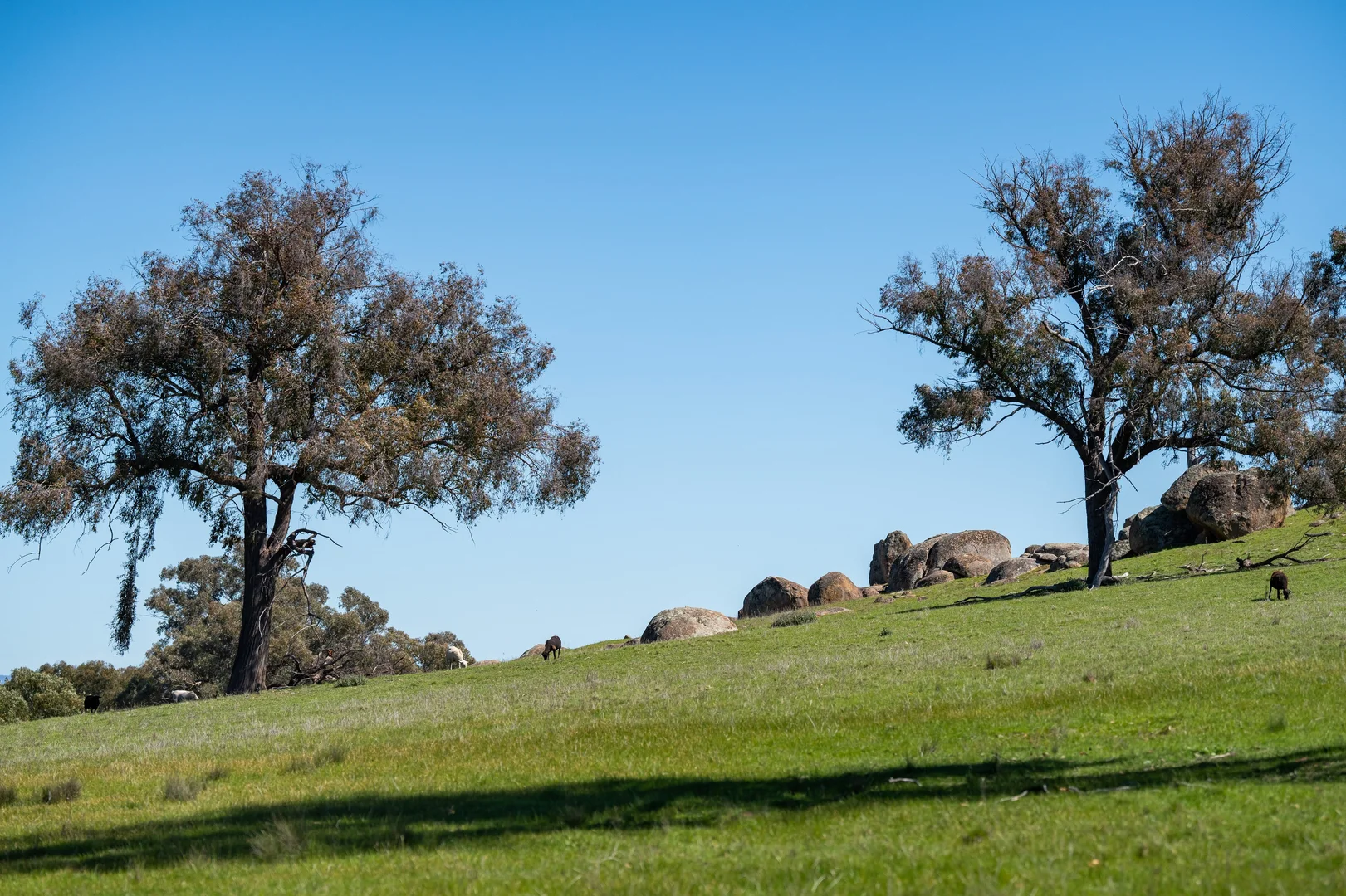 Additional image 12 of . Sanderson Road, Springhurst VIC 3682