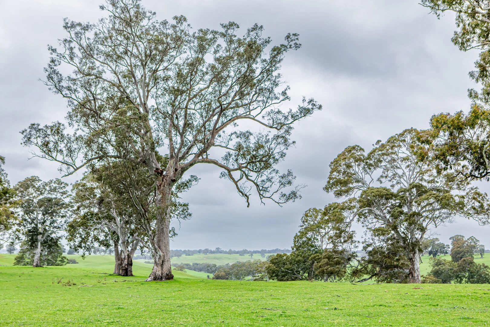 Additional image 18 of 3155 Casterton-Edenhope Road, Chetwynd VIC 3312