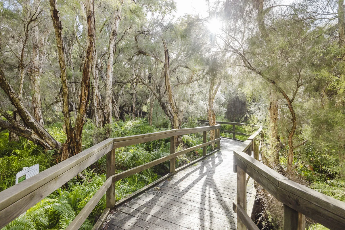 Additional image 13 of Lot 50/39 Brockman St, Gingin WA 6503