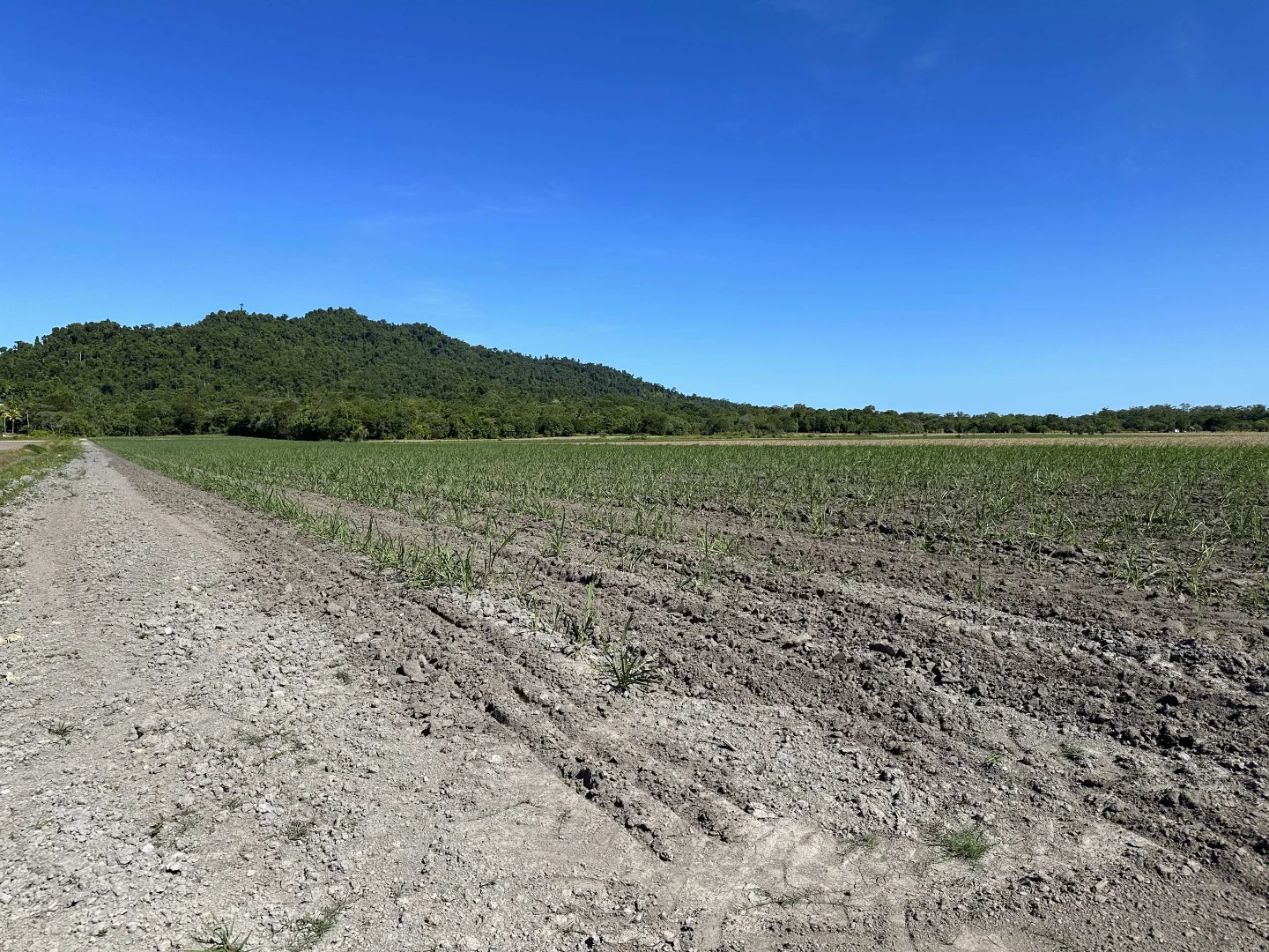 Additional image 29 of East Feluga QLD 4854