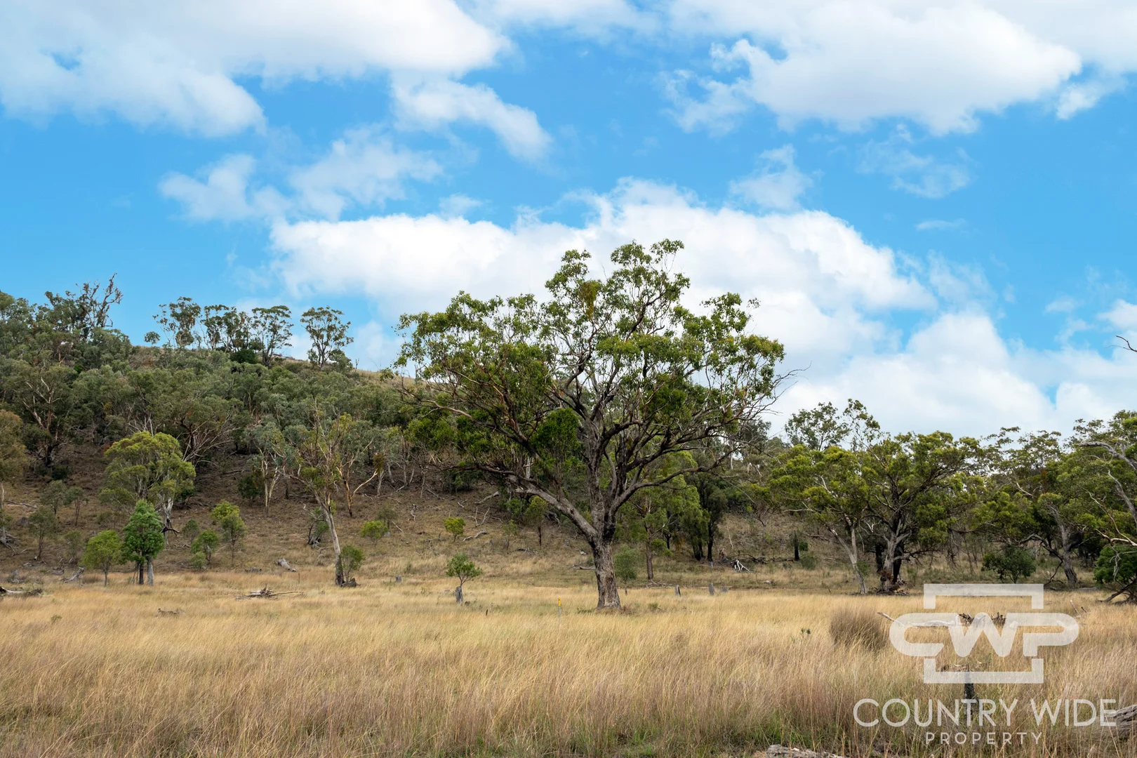 Additional image 2 of 137, 4108 Tent Hill Road, Emmaville NSW 2371