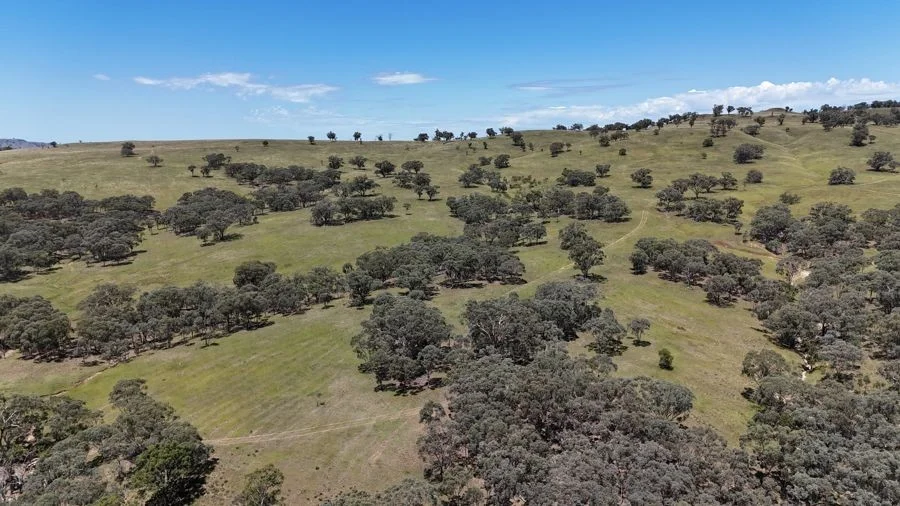 Additional image 16 of 190 BROWN SPRINGS ROAD, Coolah NSW 2843