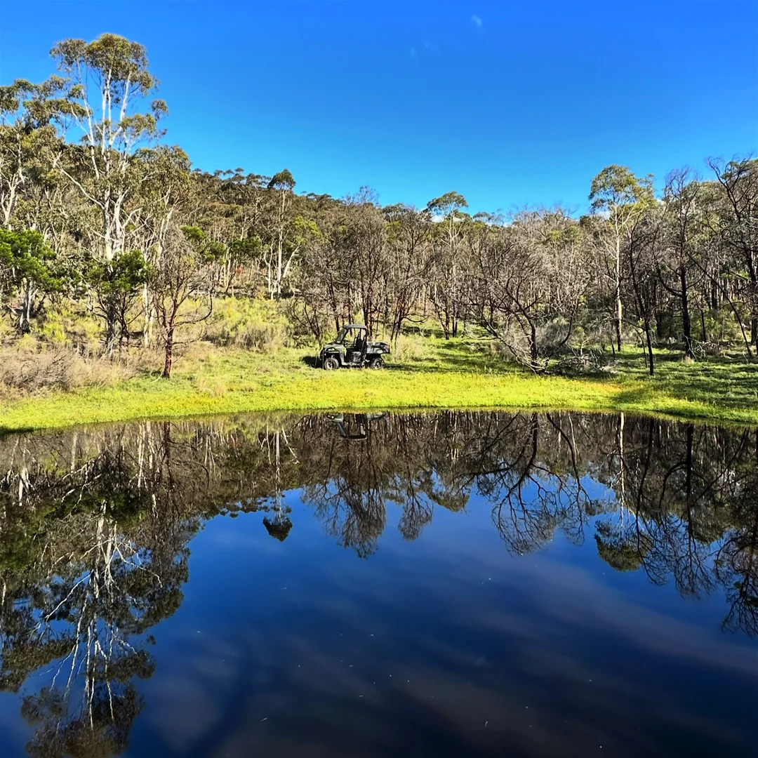 Additional image 23 of 359 Forest Siding Road, Middle Arm NSW 2580