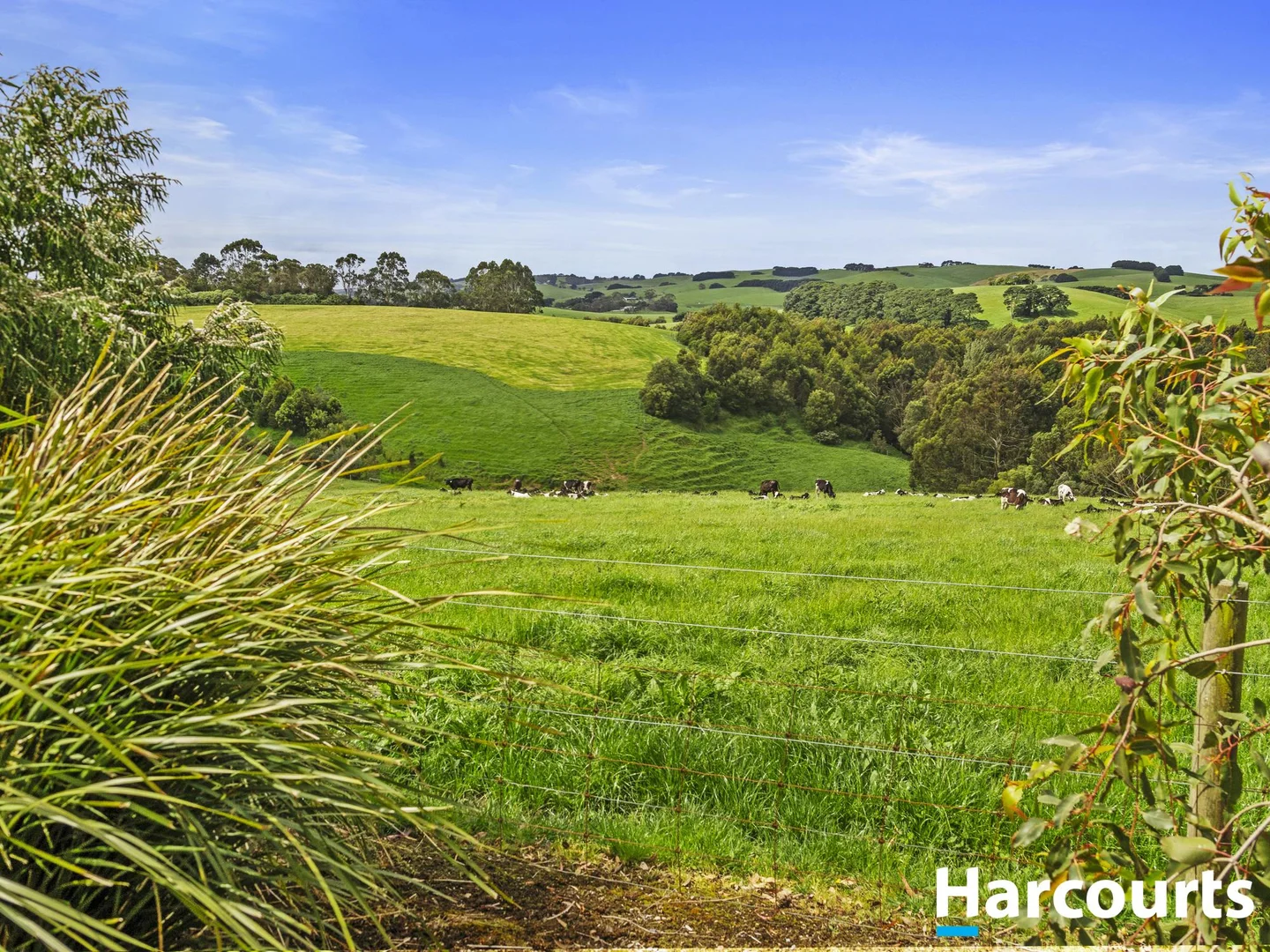Additional image 34 of 975 Falls Road, Fish Creek VIC 3959