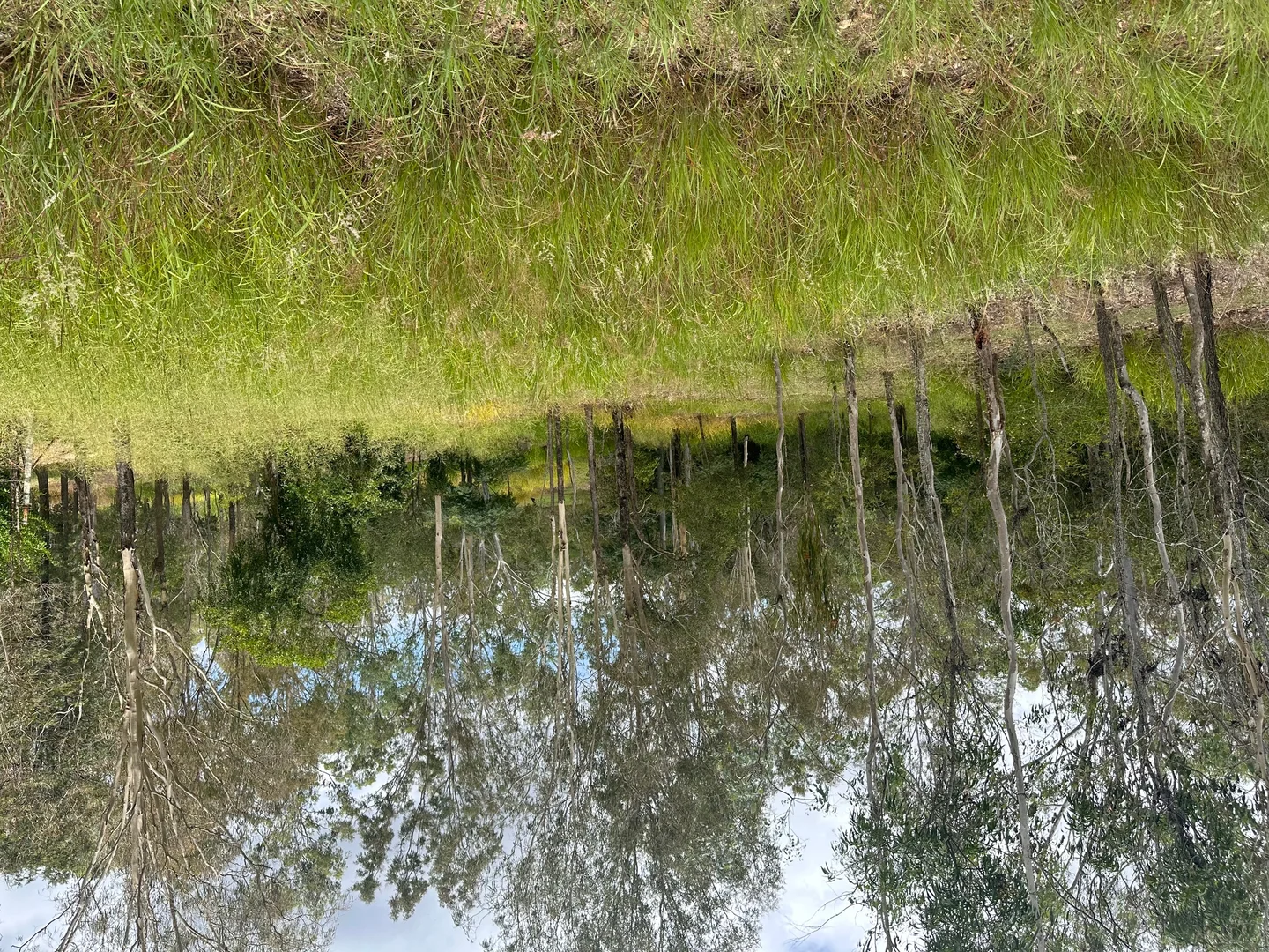 , Drinan QLD 4671 photo 2