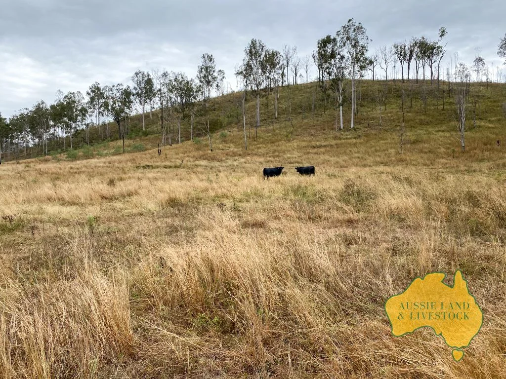 Additional image 5 of 8-9, . "O'Keefes & Tracey's", Monto Mount Perry Road, Mungy, Mungy QLD 4671