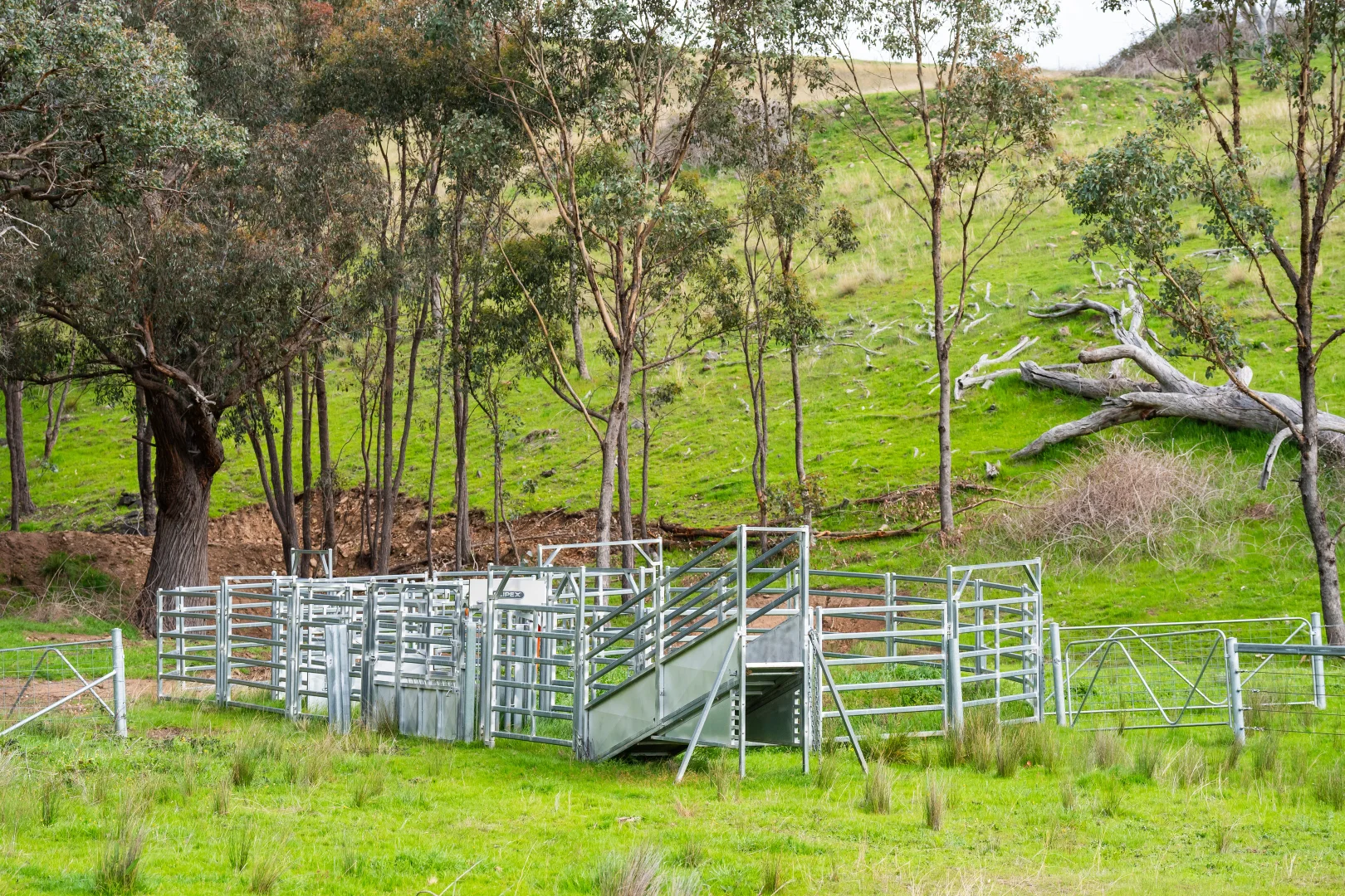 Additional image 4 of . Packers Road, Bethanga VIC 3691