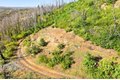 Additional image 13 of Pine Tree Ln, Berry Creek, CA, 95916