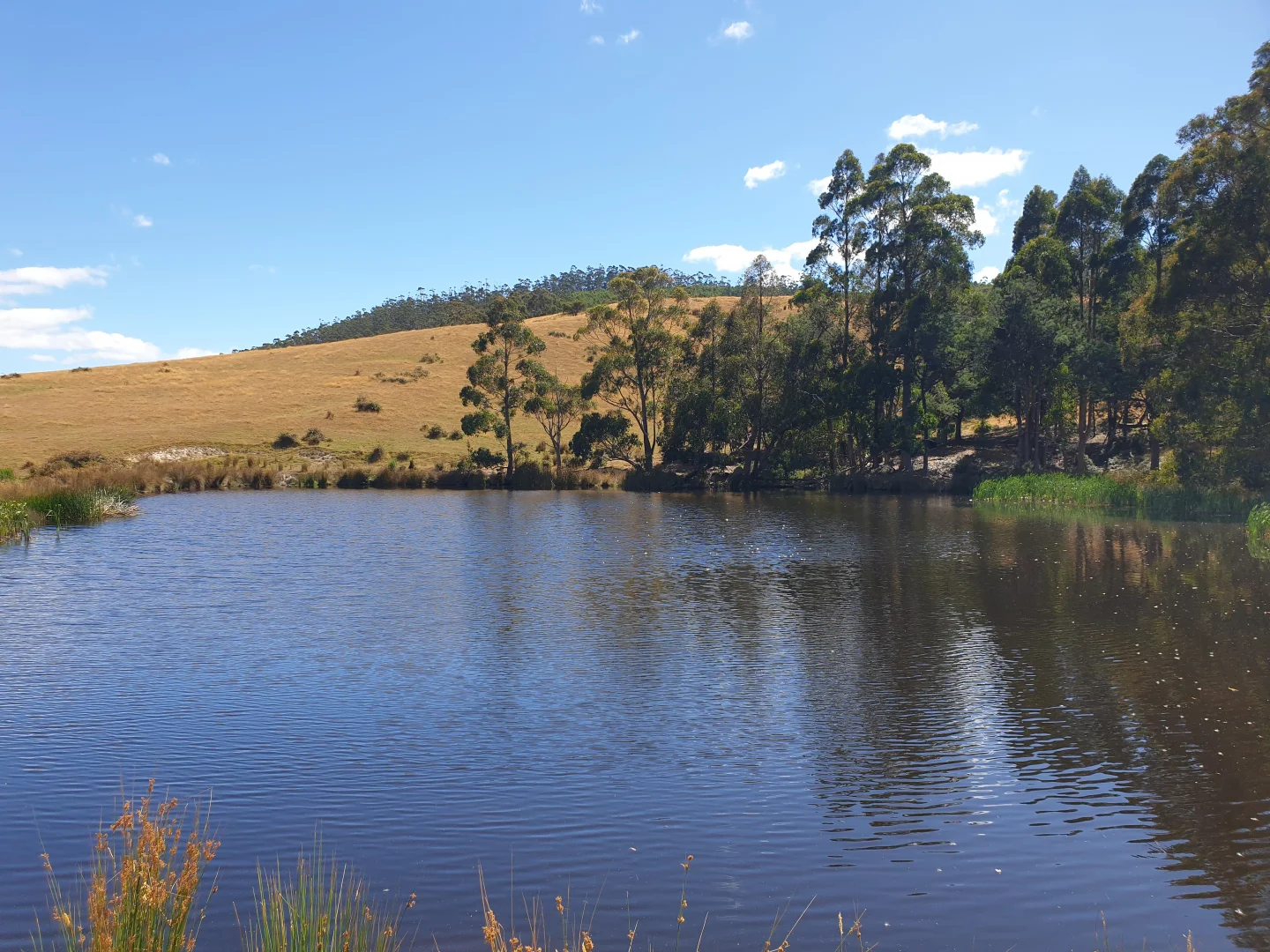 Additional image 5 of Lot 1 Huon Highway, Dover TAS 7117