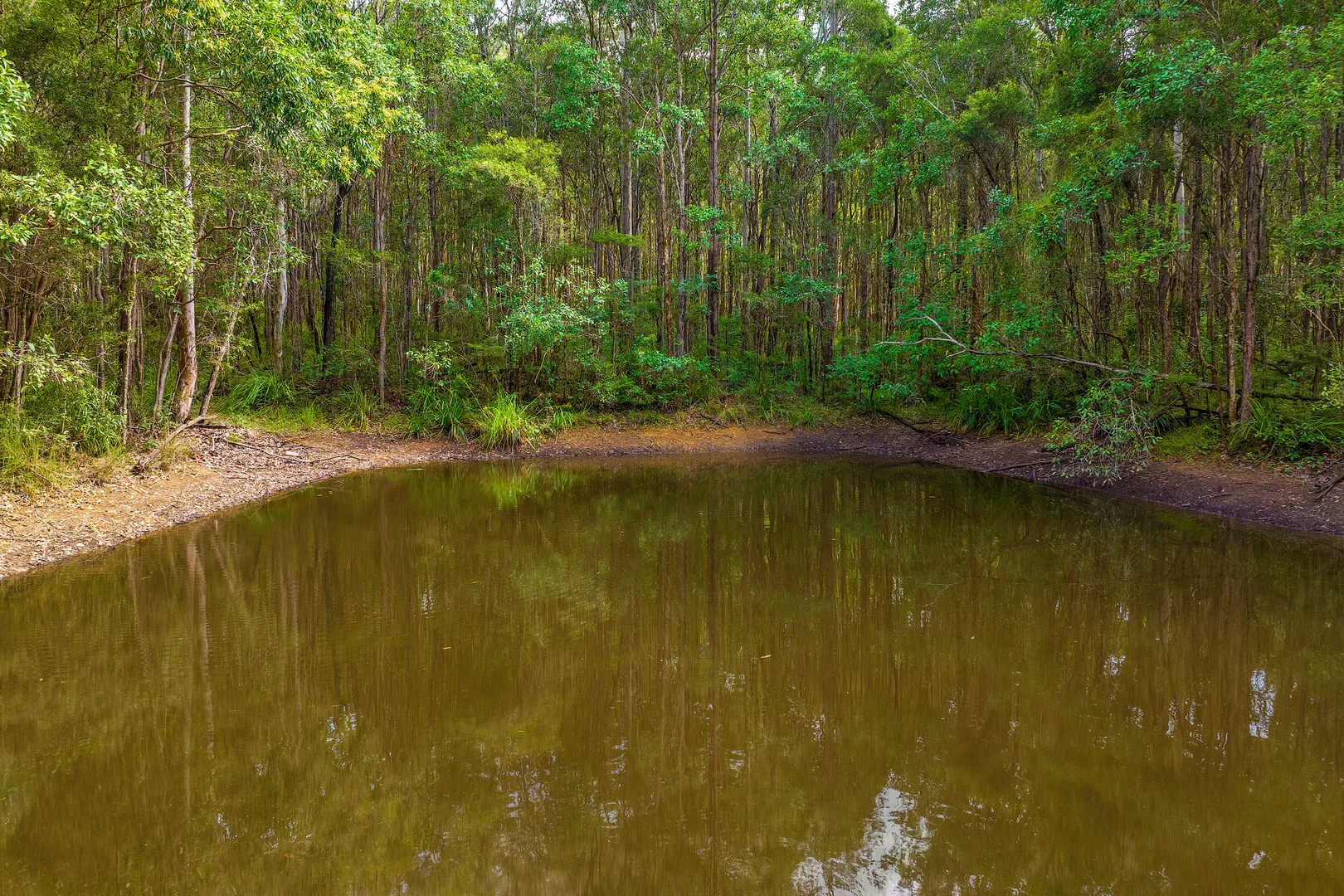 Additional image 21 of 10 O'Keeffe Road, Mothar Mountain QLD 4570