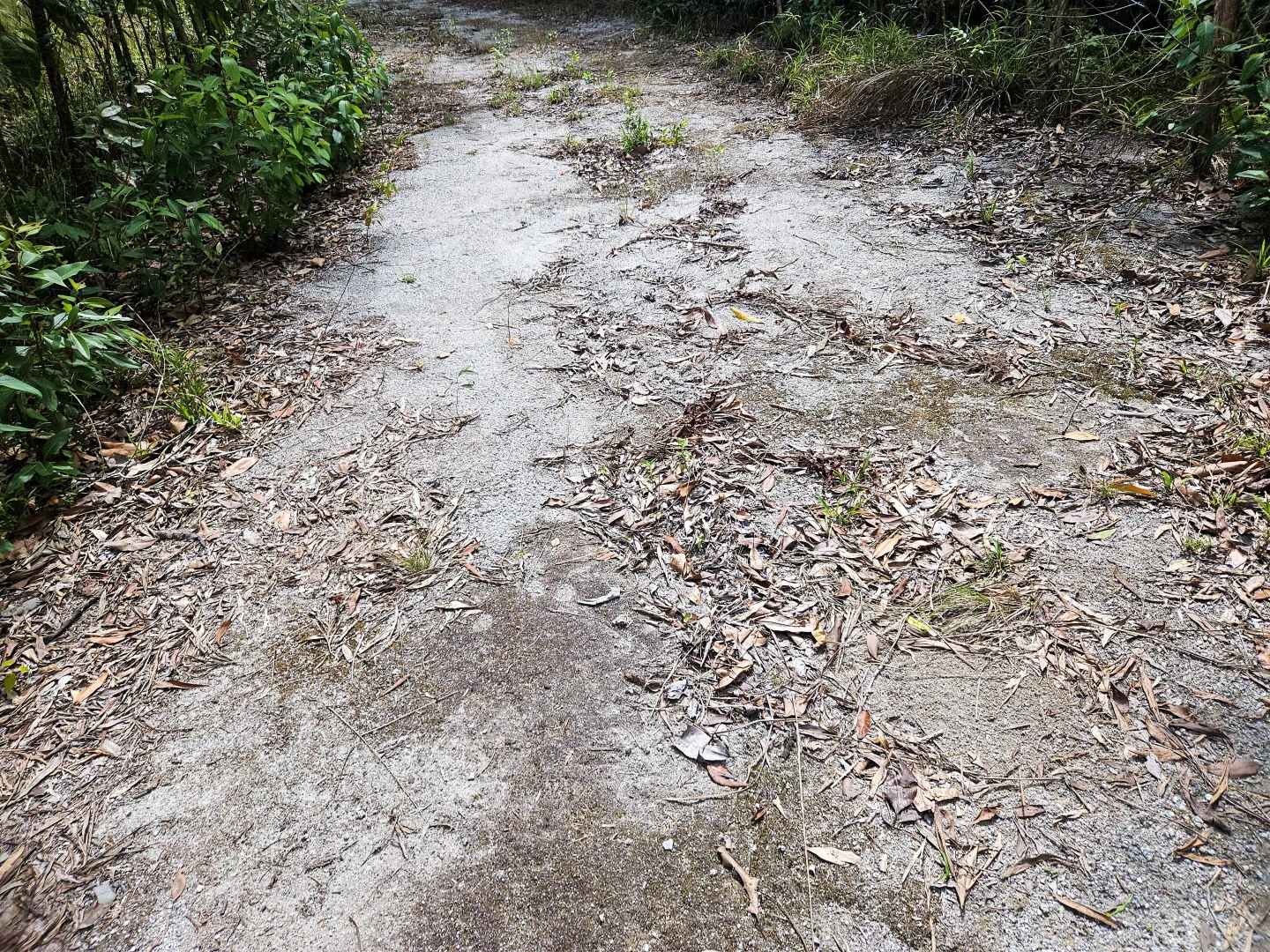 Additional image 15 of 2401 Rossville Bloomfield Road, Bloomfield QLD 4895