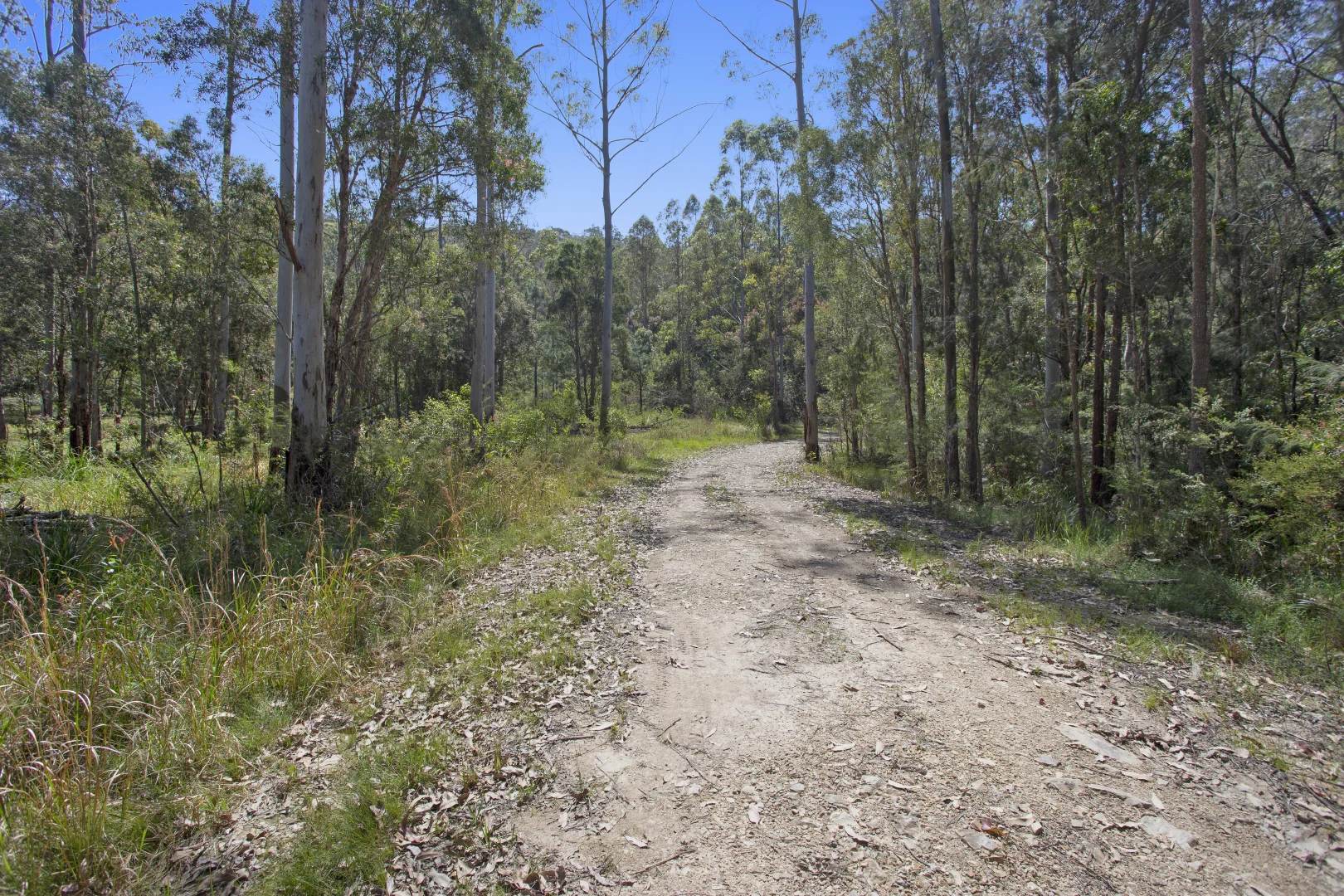 Additional image 7 of 115 Suncrest Close, Bulahdelah NSW 2423