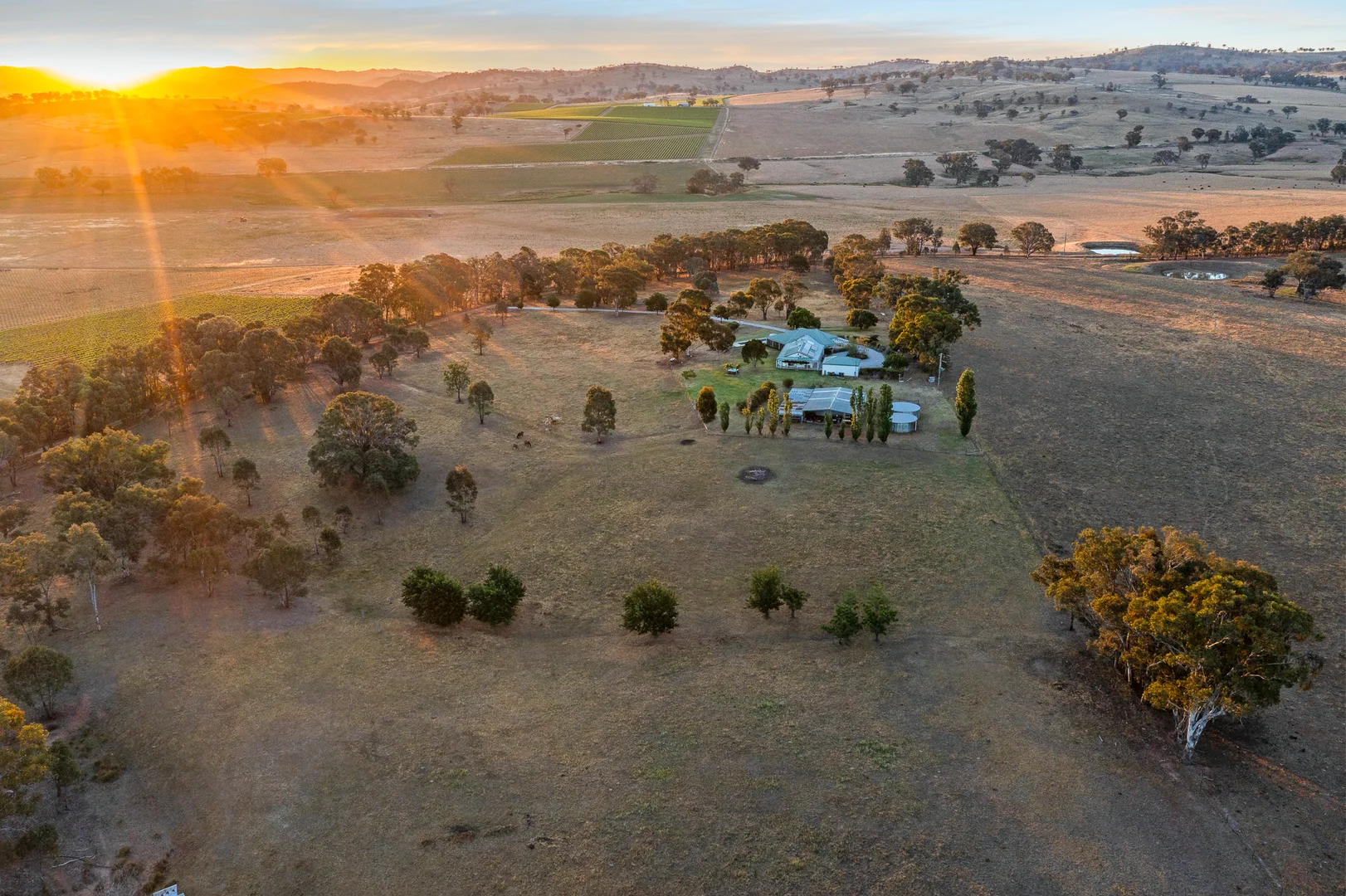 Additional image 17 of 164 Sills Lane, Mudgee NSW 2850