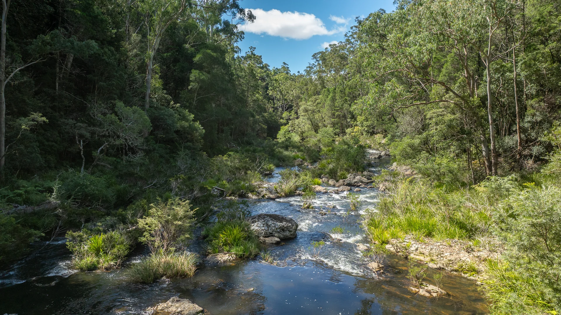 Additional image 14 of 149 Johnsens Road, Dorrigo NSW 2453