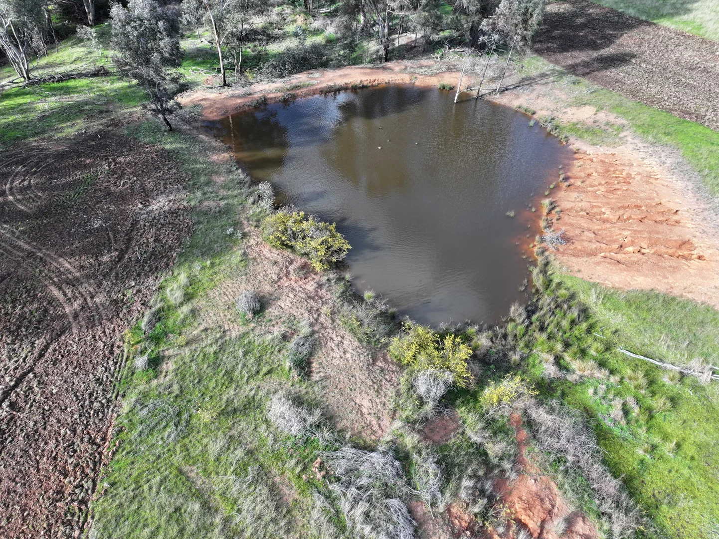 Additional image 10 of 'Rosewood' 850 Pulletop Road, Big Springs NSW 2650